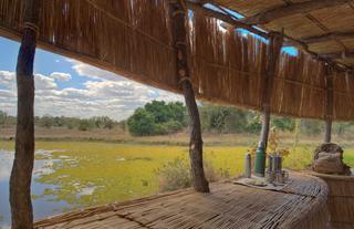 Luwi Hippo Hide
